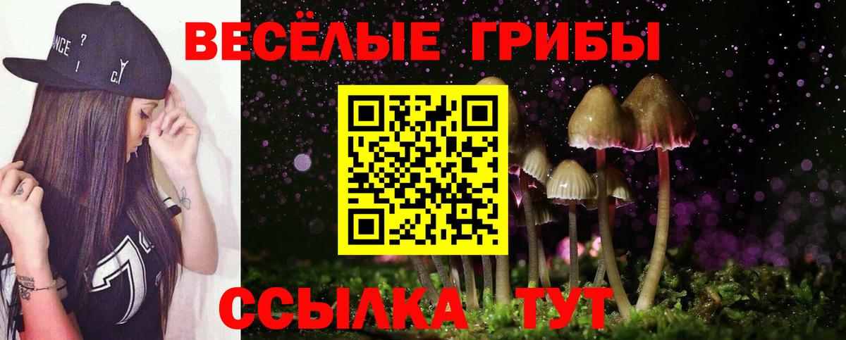 Псилоцибиновые грибы мухоморы  как найти   Вход с VPN  Ржев  Галлюциногенные грибы Psilocybine cubensis 